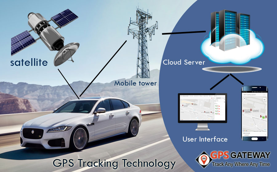 car Staff tracking software, pharma mr location tracking, Application  gps tracker, field force tracking app